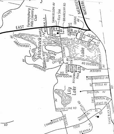 Hitchcock Lake area map