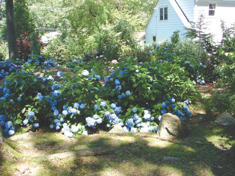 2011 Garden Tour