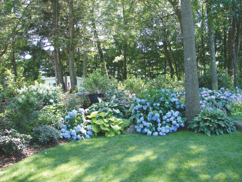 2011 Garden Tour