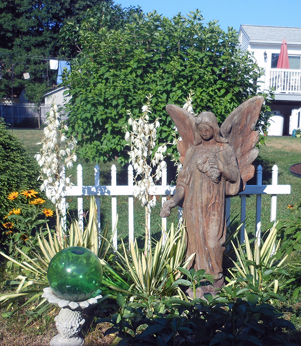 Deb DuBois gardens