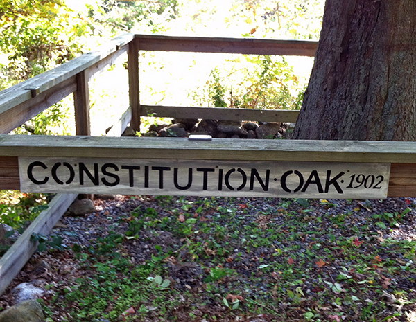 New Constitutional Oak Sign
