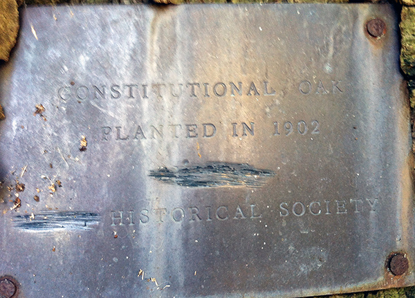 Constitutional Oak Plaque