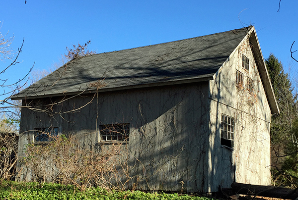 Darius Wiard Barn