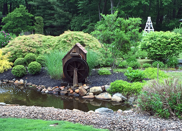 Kevin Damboise's Garden