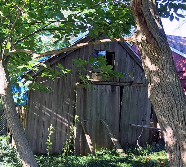 Oxen barn on the Atwood farm