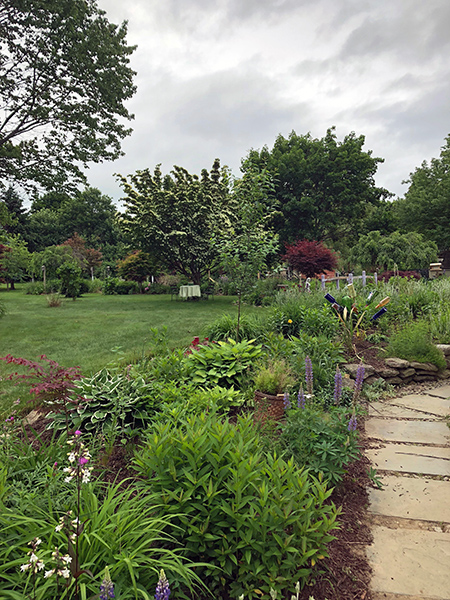 Judy Giannetto's back gardens