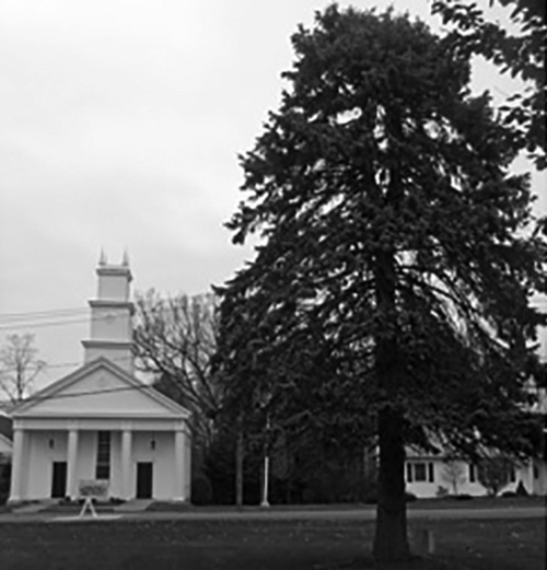 Church and tree