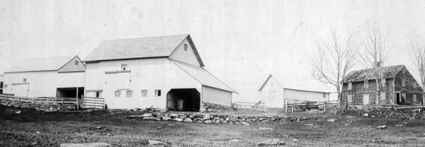 James Alcott, Evelyn Upson and Peterson house and barns