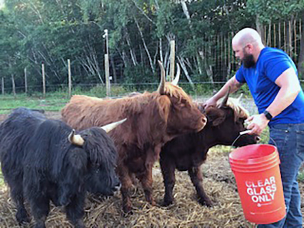 Kyle Cleary feeding heifers and bull