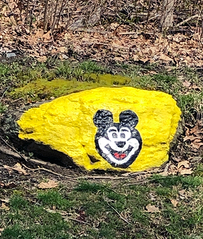 The Mickey Mouse Rock in 2022