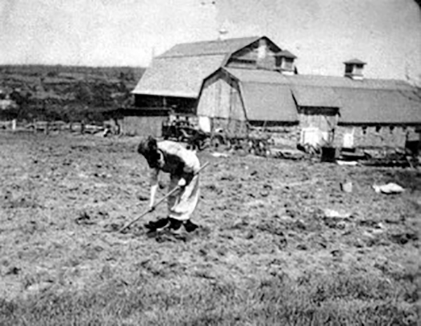 Mrs. Churchelow working the fields