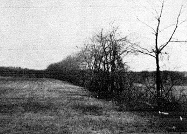 landing strip on Churchelow property