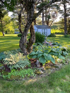 Flo Goodman's home'