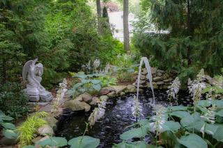 Jim Hackett's backyard garden