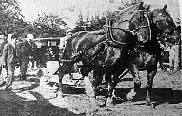 Horse pullings