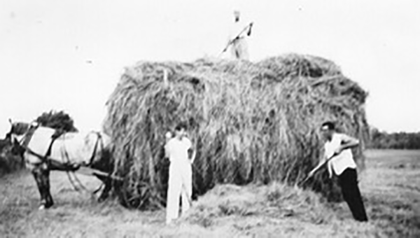 1945 haying season