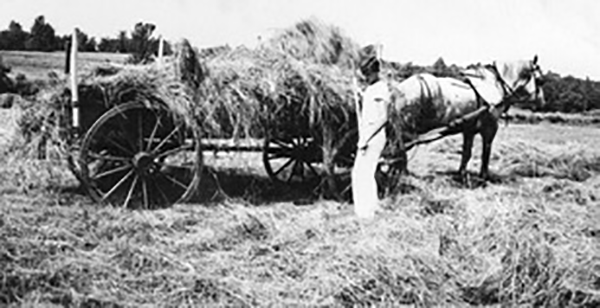 Bound Line Road farm