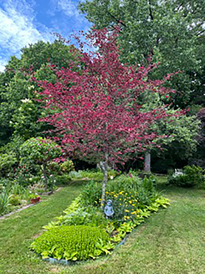 Deb DuBois on Woodtick Road