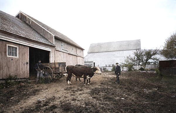 Anson Lane barn