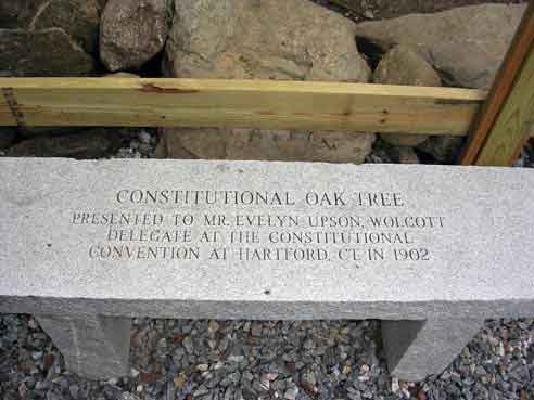 Constitutional Oak